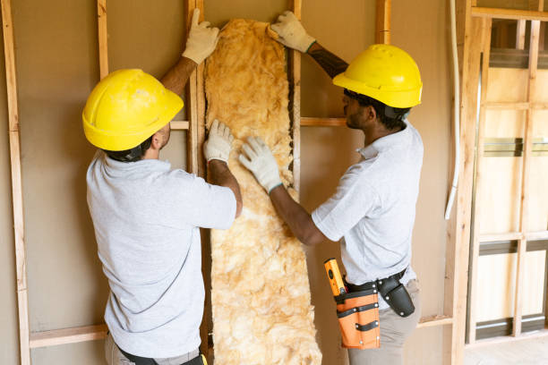 Best Home Insulation Services  in Espy, PA