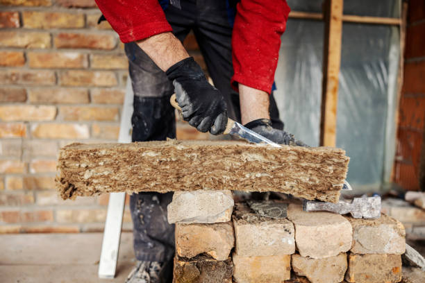 Best Insulation Removal  in Espy, PA